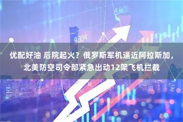 优配好油 后院起火？俄罗斯军机逼近阿拉斯加，北美防空司令部紧急出动12架飞机拦截