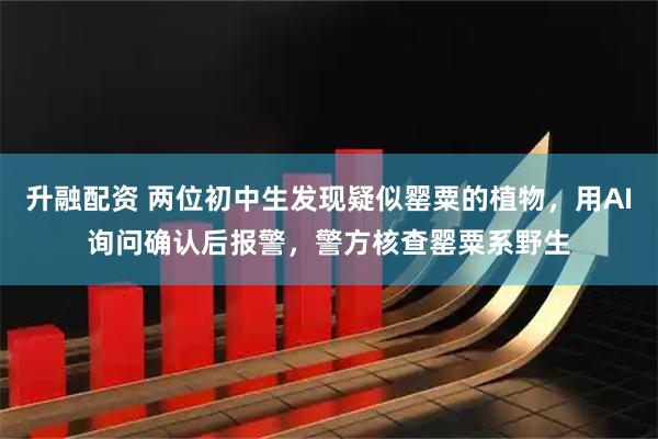 升融配资 两位初中生发现疑似罂粟的植物，用AI询问确认后报警，警方核查罂粟系野生