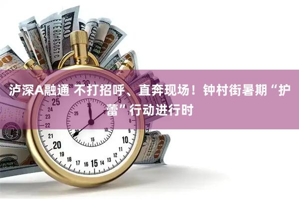 泸深A融通 不打招呼、直奔现场！钟村街暑期“护蕾”行动进行时
