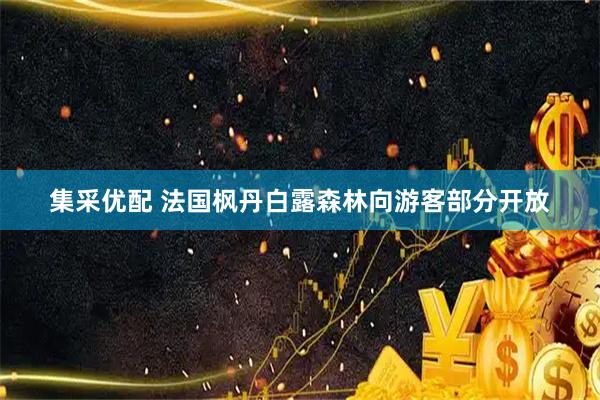 集采优配 法国枫丹白露森林向游客部分开放